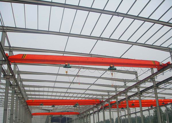 研修会/植物/家畜飼育場のための頑丈な天井クレーン持ち上がる装置